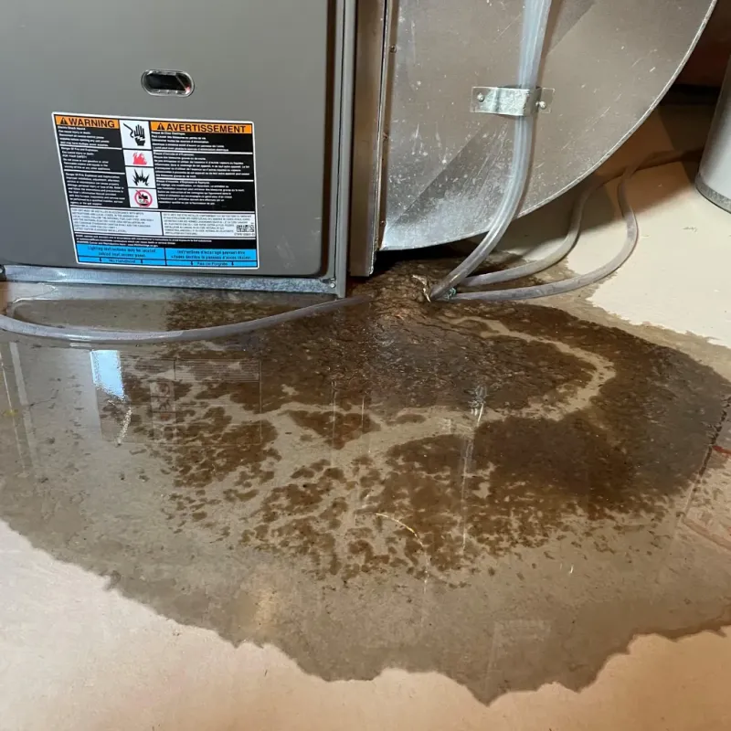 Appliance Leak Cleanup in Prairie View, TX