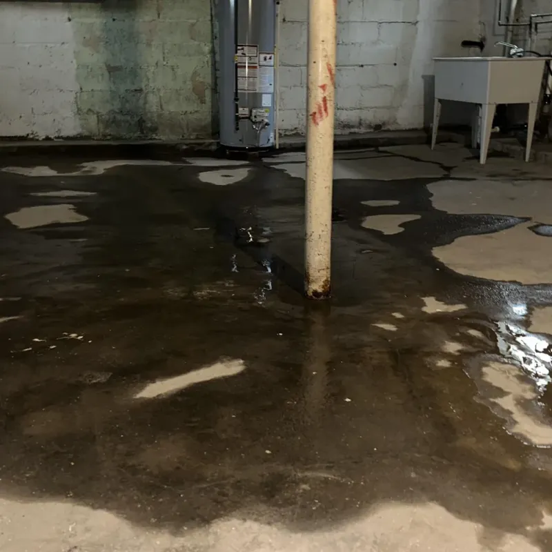 Emergency Water Extraction And Removal in Prairie View, TX
